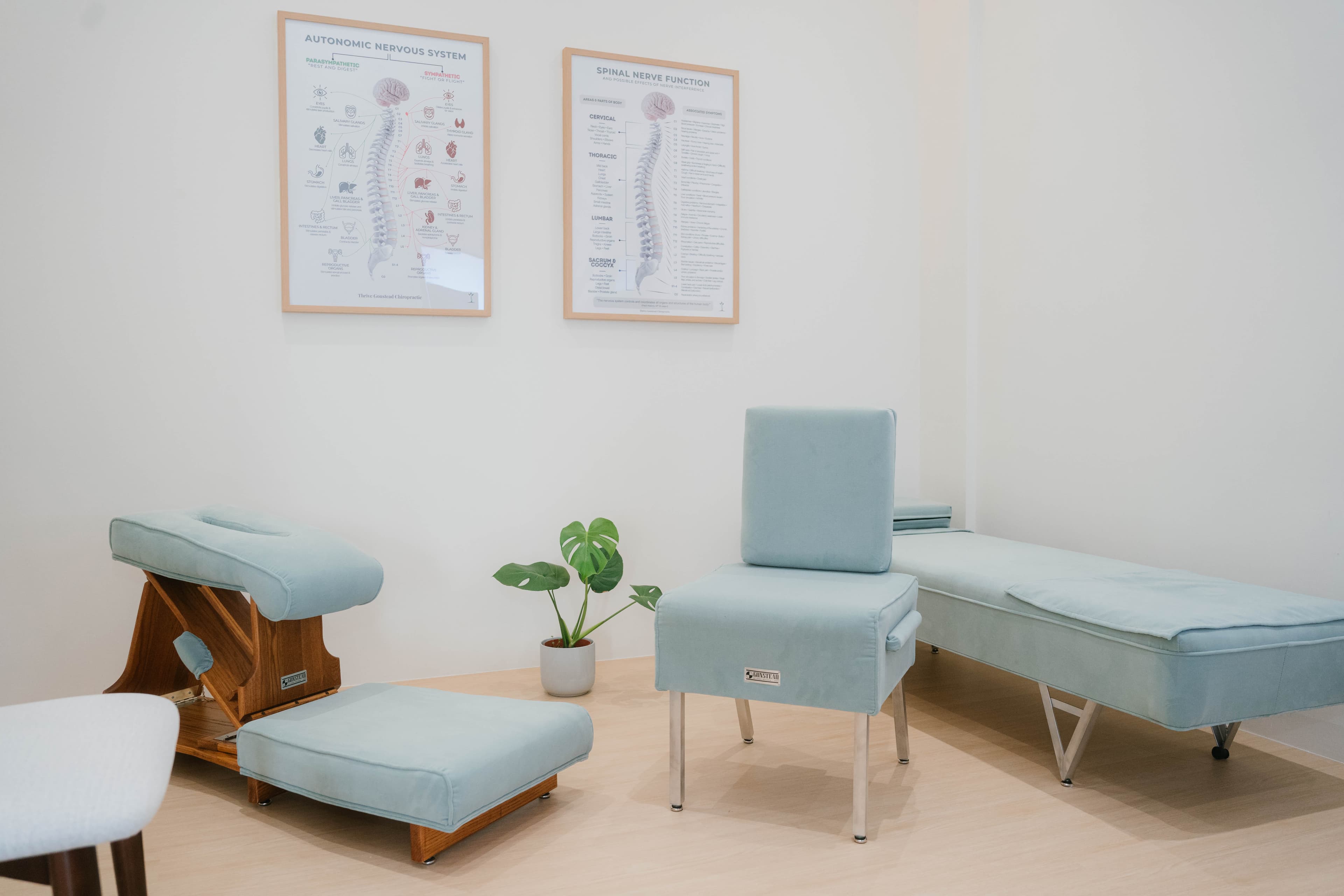 Thrive Gonstead Chiropractic clinic 2